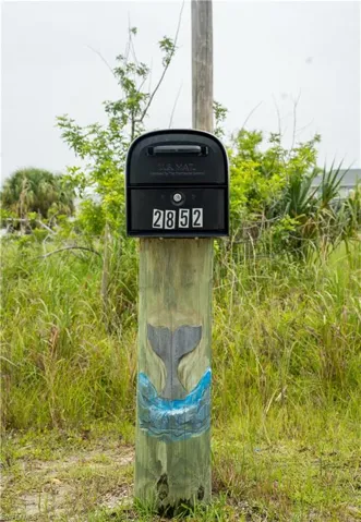 Mailbox across the street