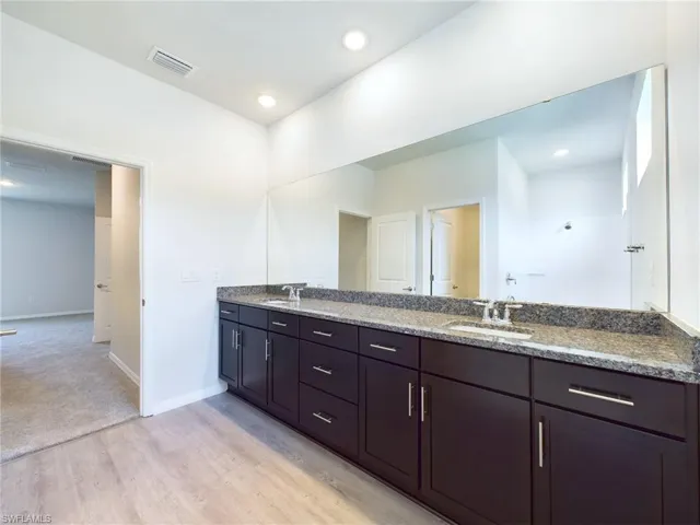 Bathroom with wood-type flooring and vanity