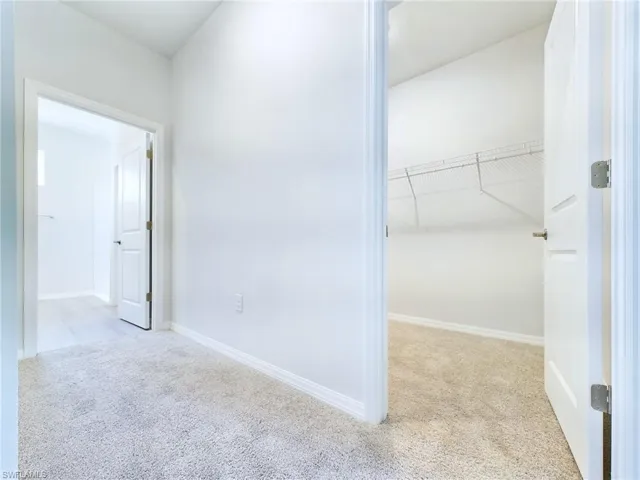 Walk in closet with light colored carpet