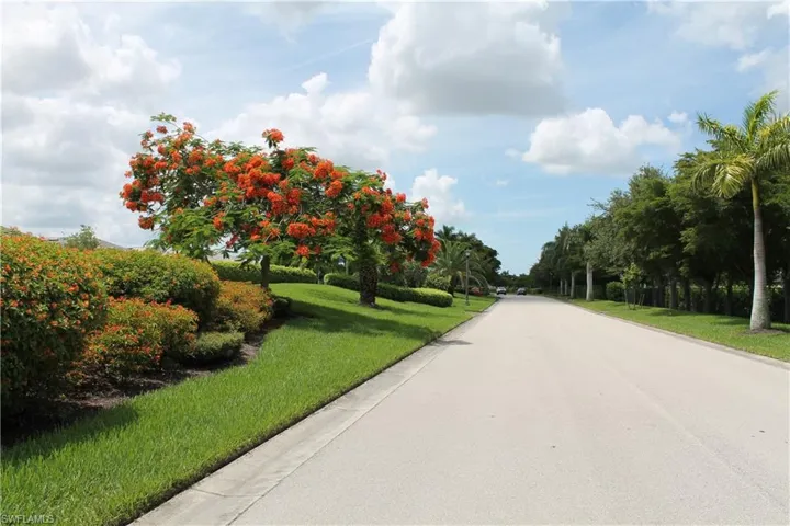 Paved road bordered by lush green lawns and a variety of mature trees and shrubs