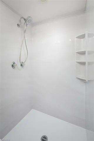 Primary Bathroom Shower