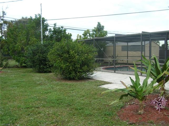 large back yard