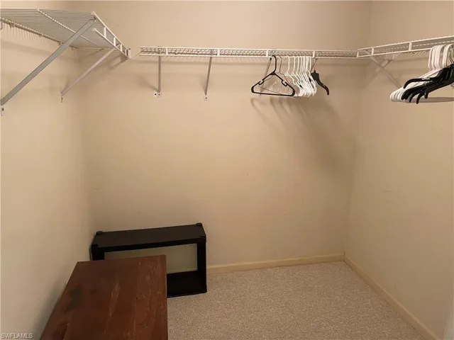 Spacious closet with carpet