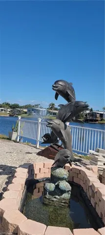 Playful Dolphins