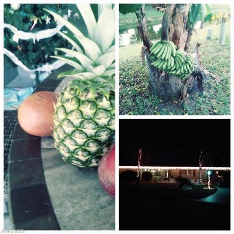 610 Grandview CT, LEHIGH ACRES FL 33936