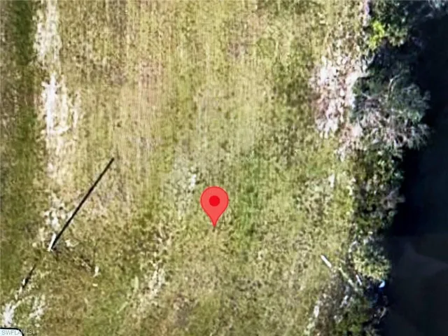 closer image of vegetation