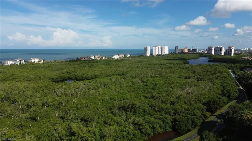 Bird's eye view of a large body of water and a forest