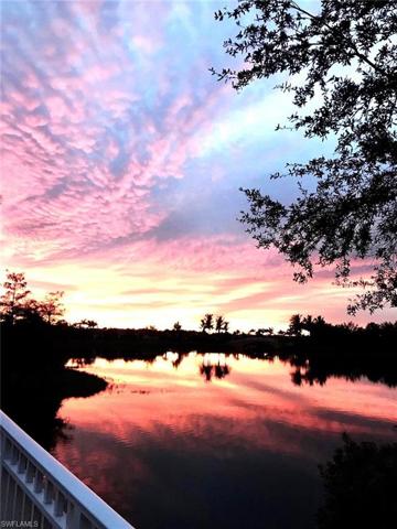 Spectacular Sunset from Bridge on Walking trail