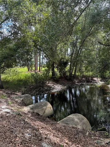 Palm Creek far rear of property.