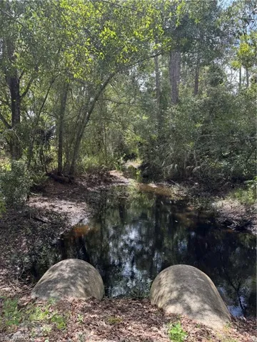 Palm Creek way in the back yard. The fence to the west is the end of property.