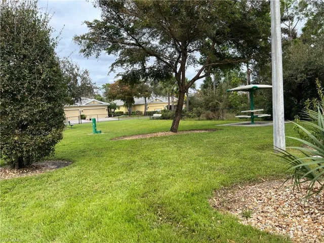 Dog park area
