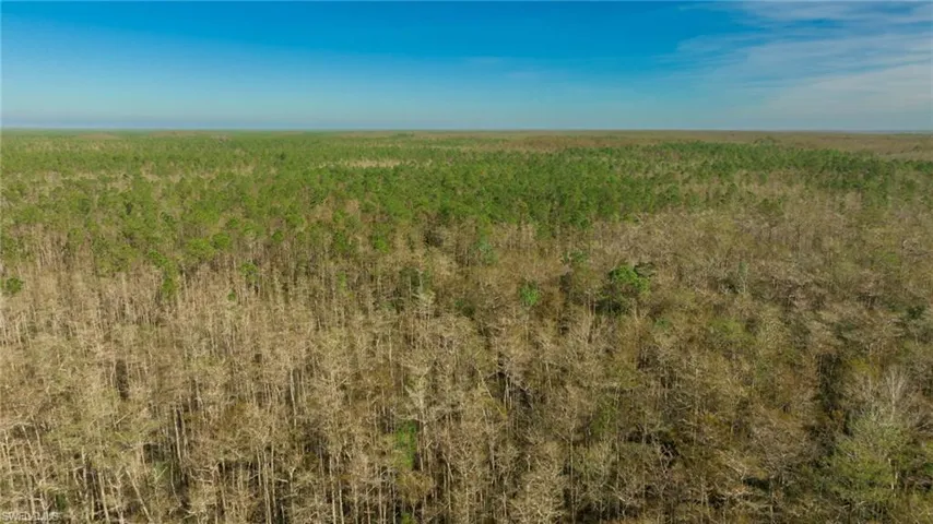 Preserve for Miles
