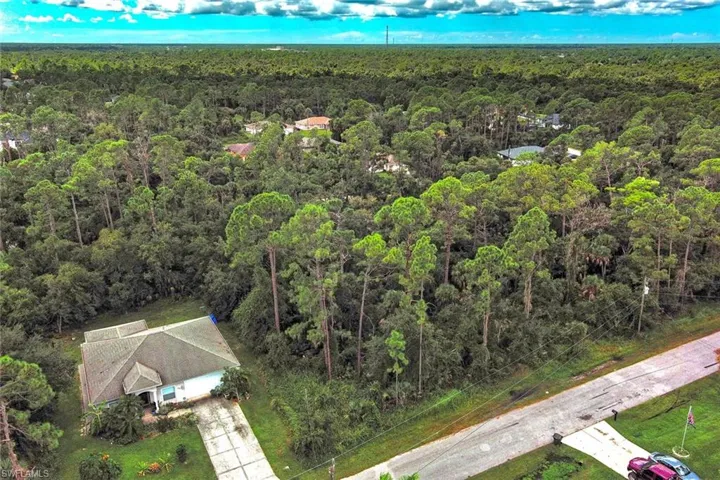 Aerial view of a forest
