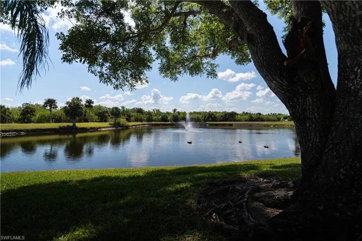 Water view