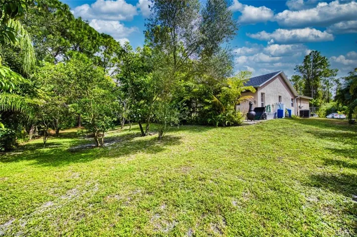 View of grassy yard