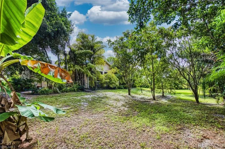 View of green lawn