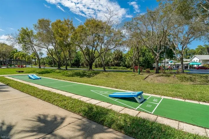 Shuffle Board &