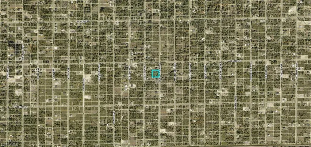 1317 Williams Ave, Lehigh Acres, Florida 33972