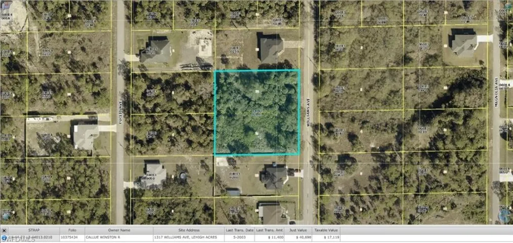 1317 Williams Ave, Lehigh Acres, Florida 33972
