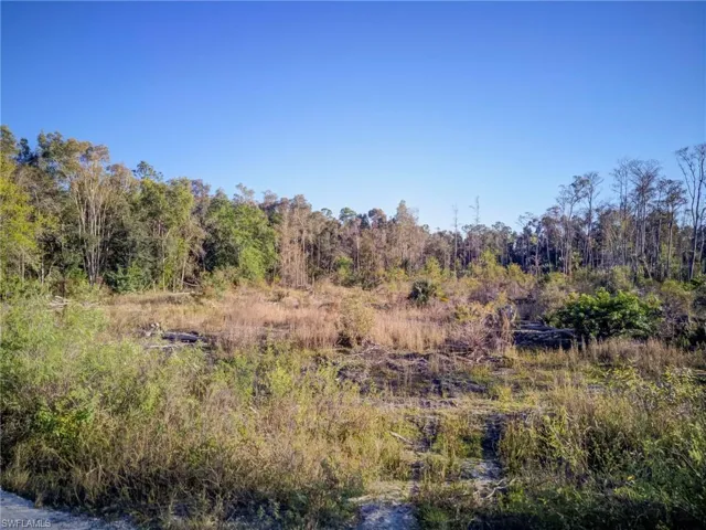 17380 Richard Rd, Fort Myers, Florida 33913