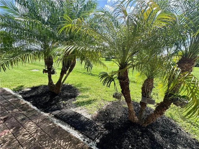 View of green lawn