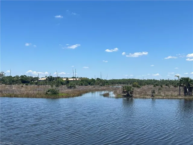 View of water and preserve