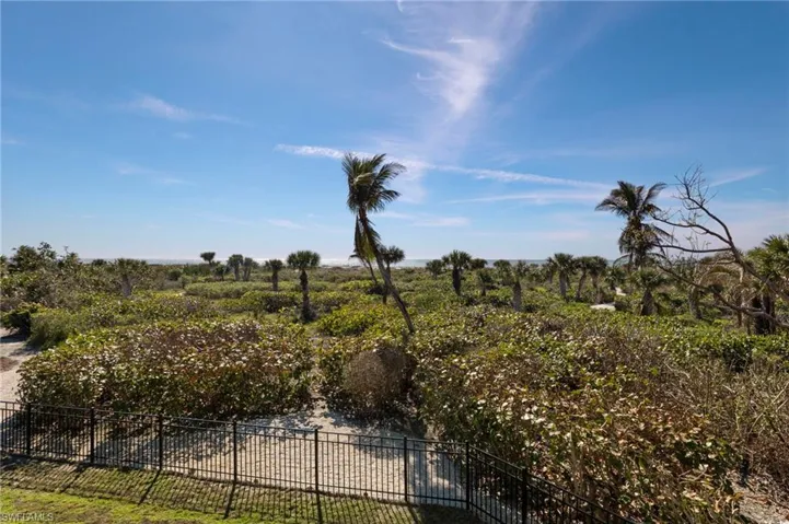 View from Deck