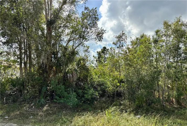 3003 37th St, Lehigh Acres Fl 33971