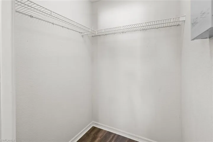 Spacious closet with dark wood-type flooring