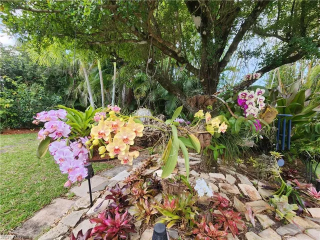 Orchid garden