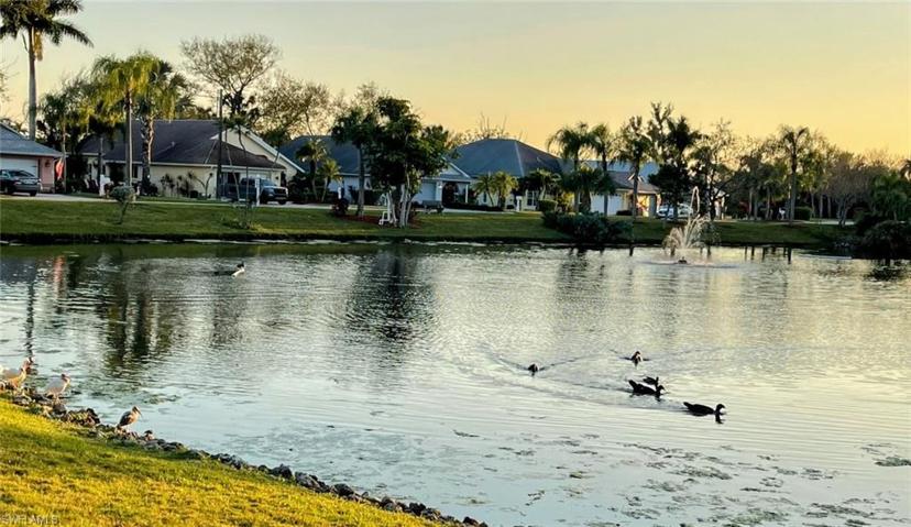 13371  Wild Cotton  CT, North Fort Myers, FL 33903