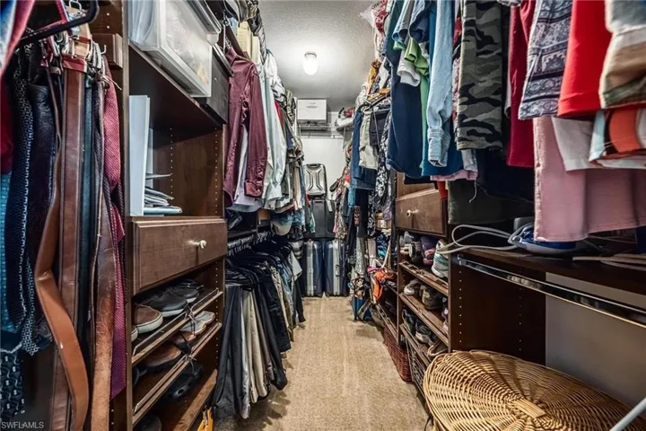 Walk in closet with carpet flooring