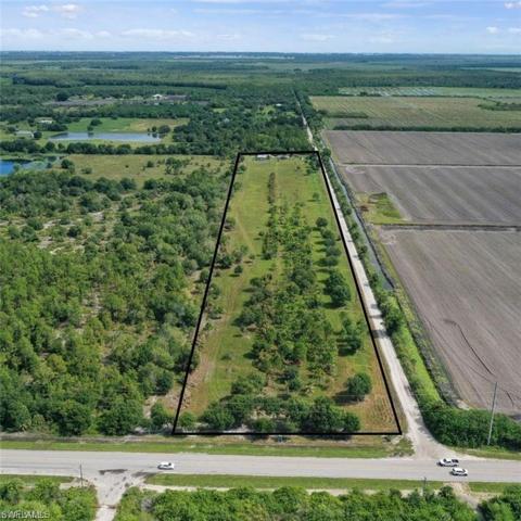 19967  Immokalee  RD, Naples, FL 34120