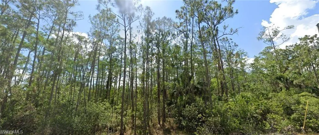 View of woods