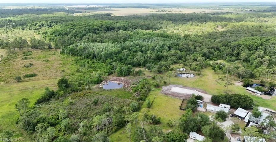 Natural water feature surrounded by lush vegetation and mature trees under a clear blue sky