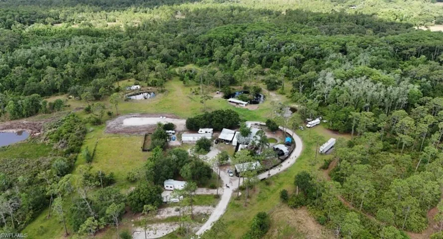 Expansive cleared lot featuring mature pine trees and natural foliage borders