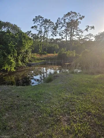 Natural water feature surrounded by mature trees and varied foliage