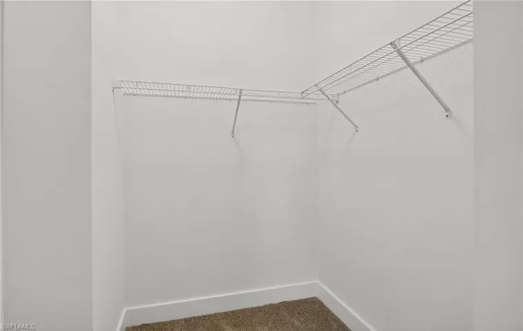 Spacious closet featuring carpet