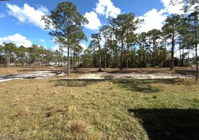 View of grassy yard