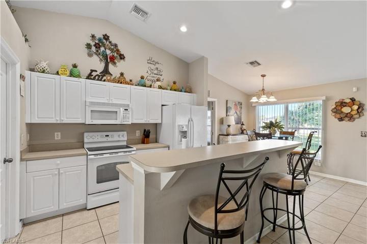 1501 NE 33rd LN, CAPE CORAL FL 33909