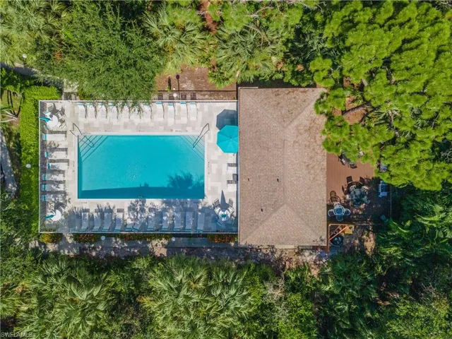 Aerial view of Naples Cove swimming pool nestled in the trees