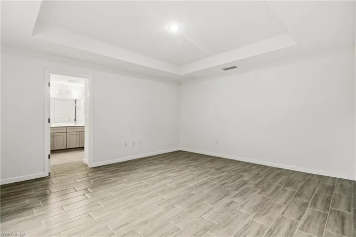 Unfurnished room with a tray ceiling and wood tiled floors