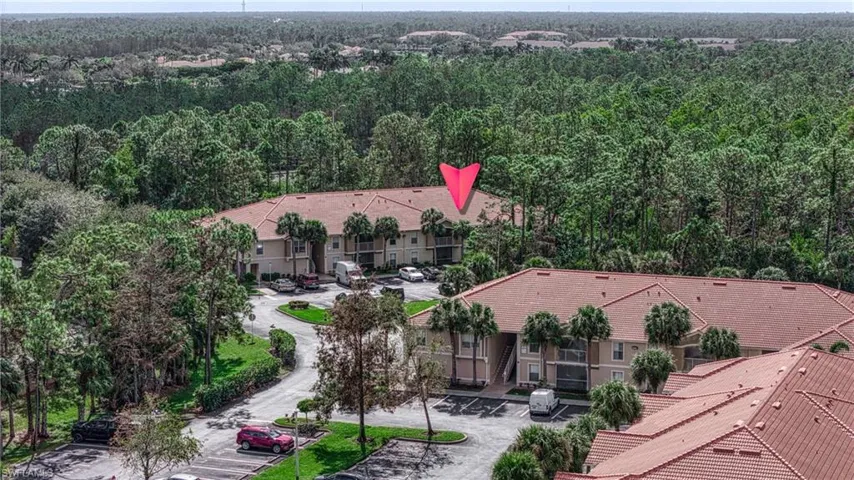 Bird's eye view of a forest