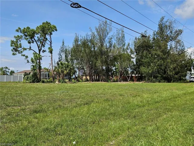 View toward the eastern part of the lot