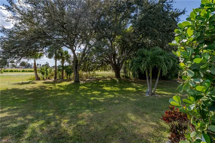 View of green lawn