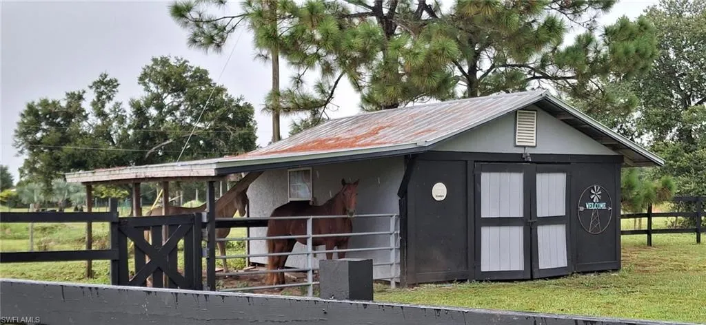 Horses taking shelter from the rain