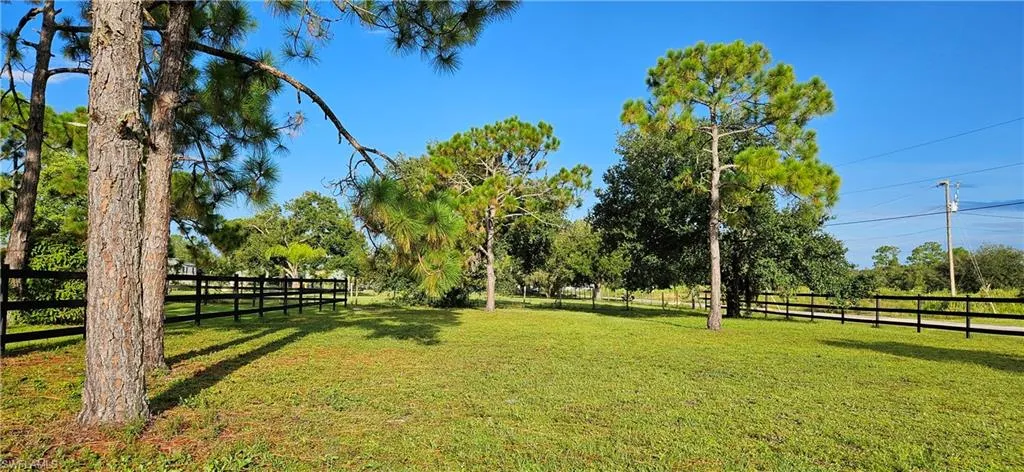 Front yard