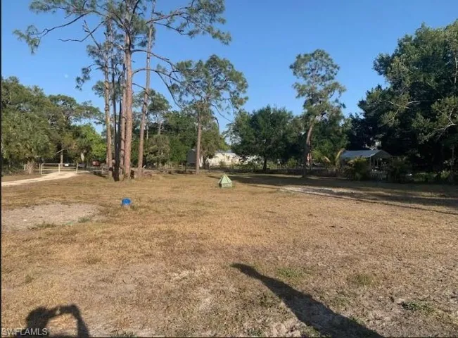 View of yard