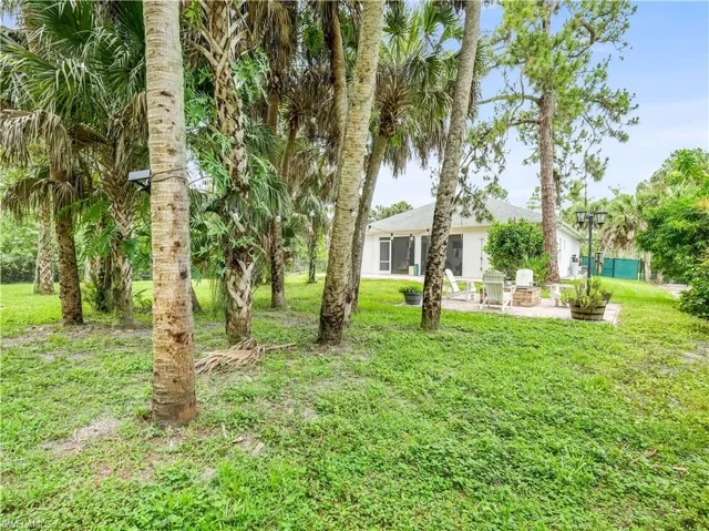 Fenced Back Yard