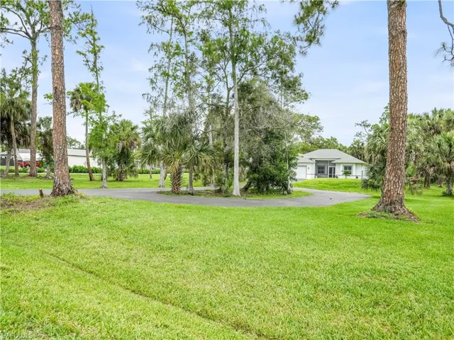Front yard with paved driveway